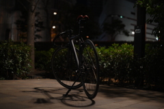 SMC PENTAX 55mm F1.8-YDM_9948