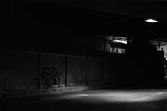 DSC_0184