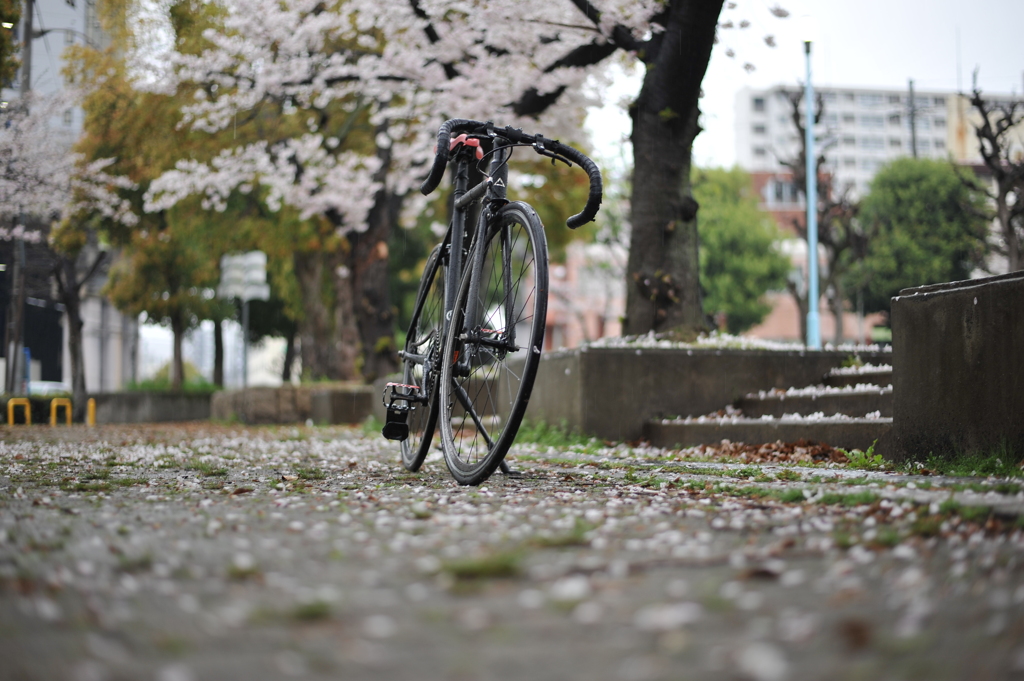 YDM_0324