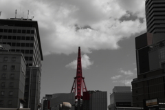 Z50_0889