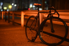 Lionon-P 135mm f2.8-YDM_8575