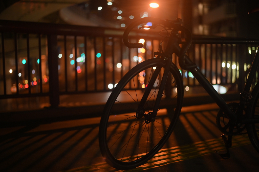 YDM_6722