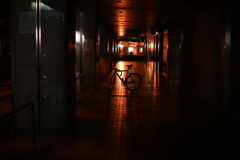 YDM_4963