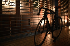 YDM_5014
