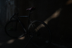 YDM_7164
