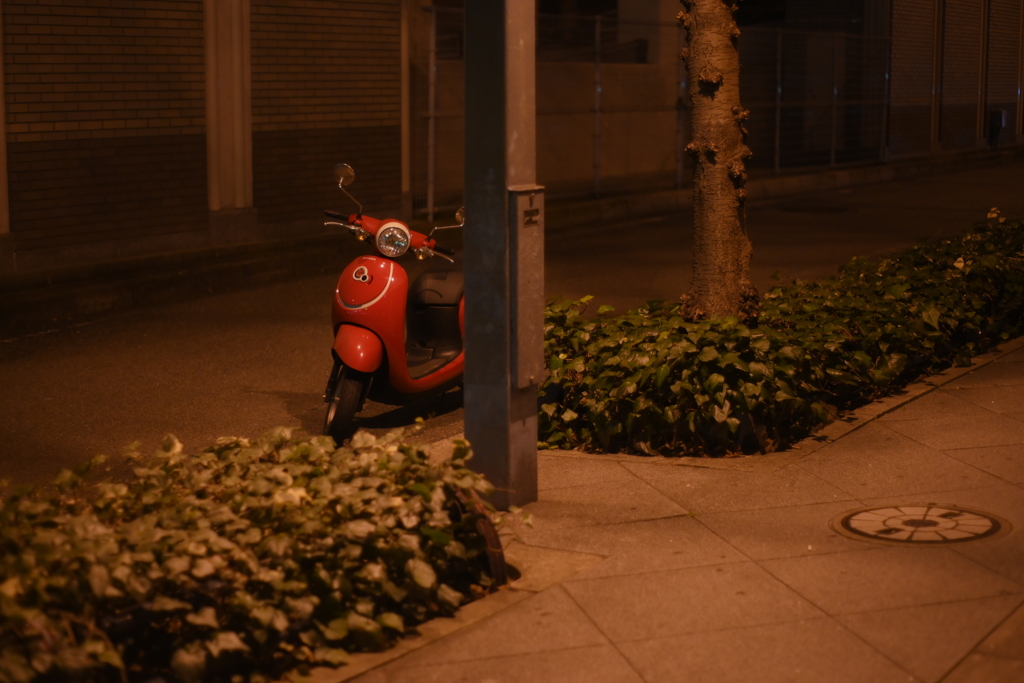 SMC PENTAX 55mm F1.8-YDM_9935