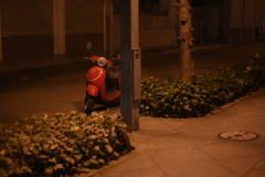 SMC PENTAX 55mm F1.8-YDM_9935