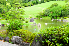 NZ5_1732