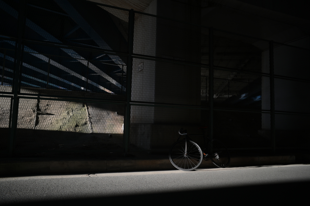 YDM_4646