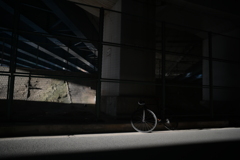 YDM_4646
