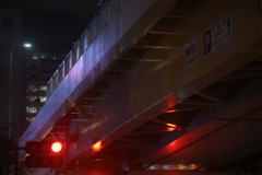 Lionon-P 135mm f2.8-YDM_8621