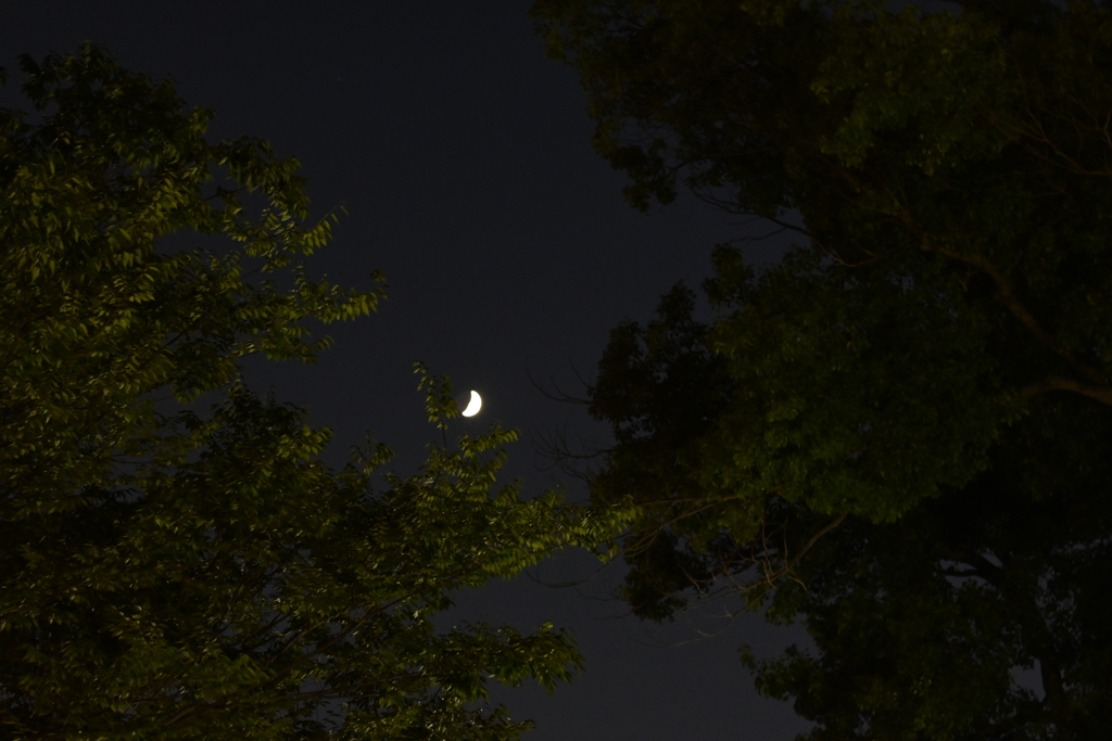 DSC_7951