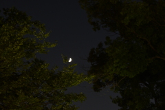 DSC_7951