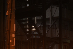 YDM_7024