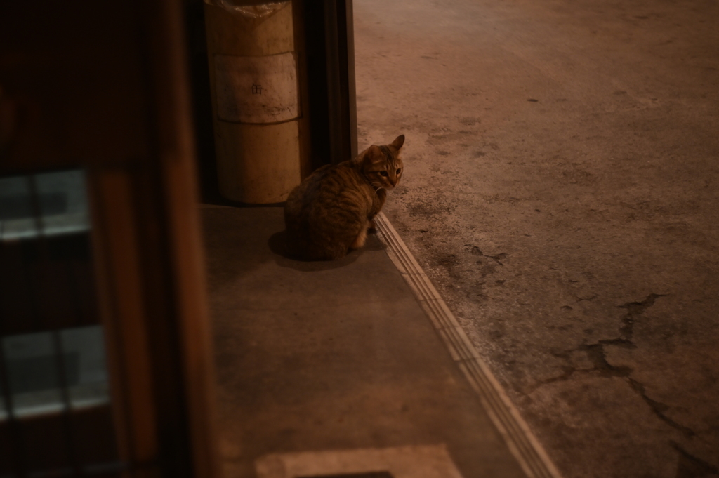 HELIOS 44M−4 58mm f2-YDM_2442