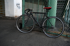 YDM_4723