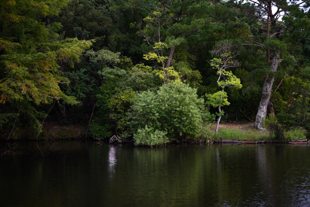 NZ5_2402