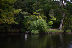 NZ5_2402