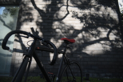 YDM_7174