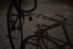 YDM_6779