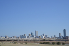 YDM_6922