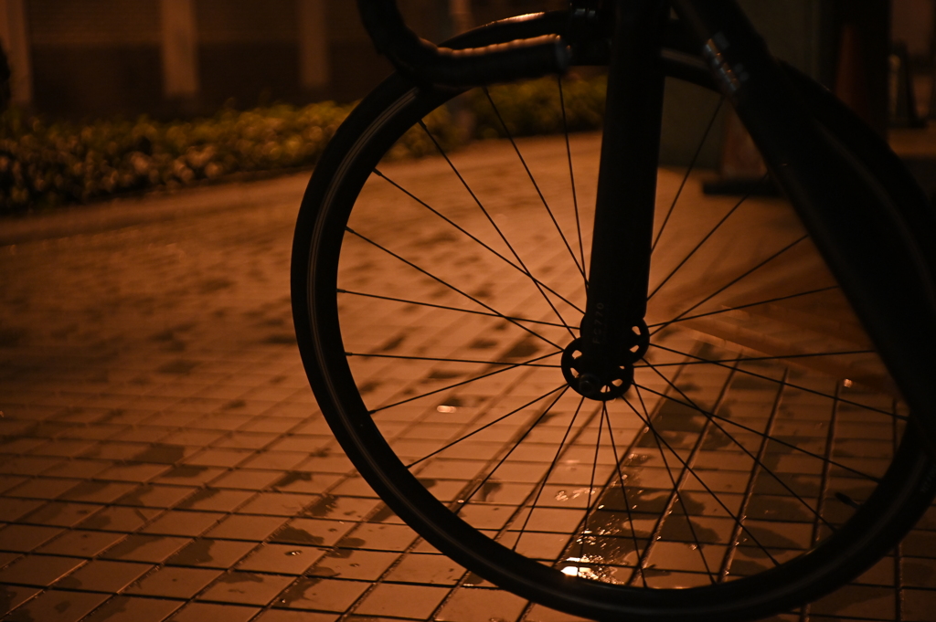 Pentaflex-Color 2.8/50mm-YDM_3081