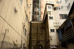 Z50_0692