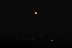 NZ5_1457