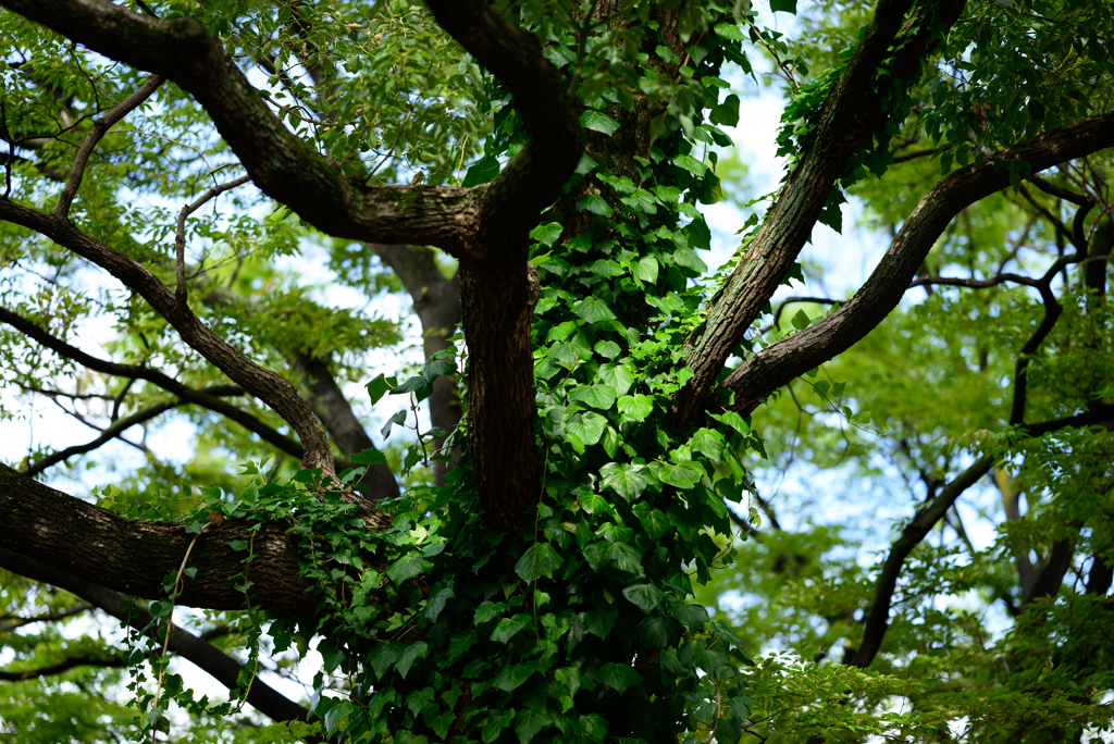 DSC_0869