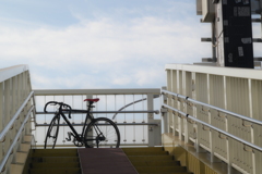 YDM_5366