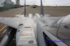 F-15J（82-8965）