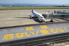 ナニコレ珍百景かな？