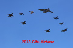 異機種大編隊2013