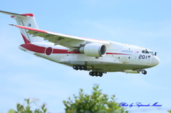 Ｃ－２（18-1201）