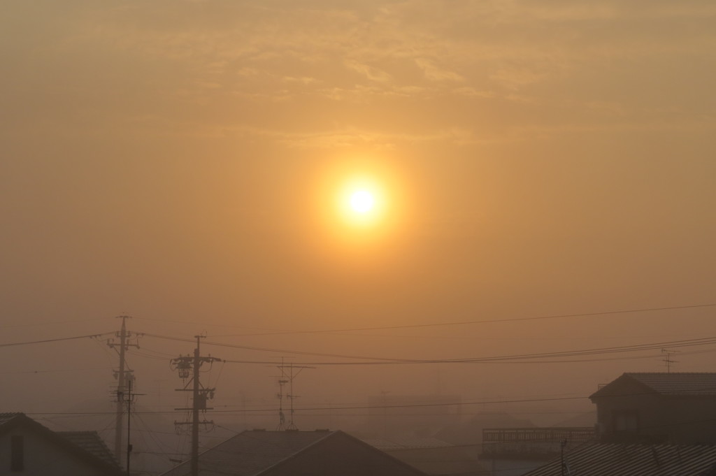 朝霧