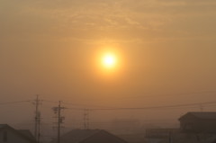 朝霧