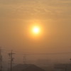 朝霧
