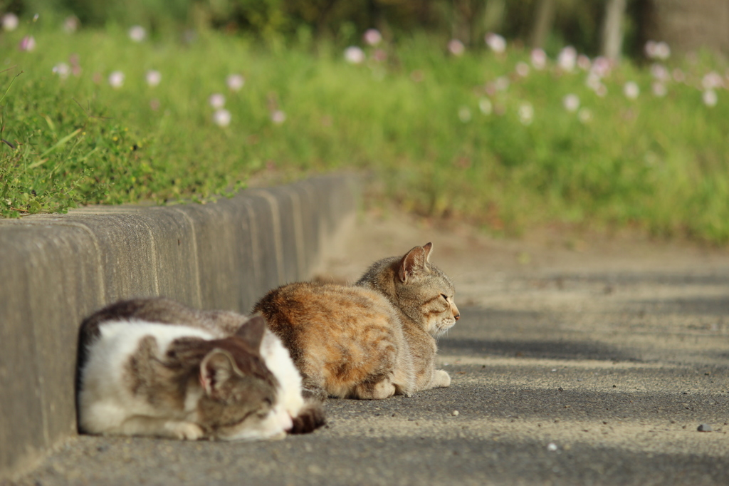 見つめる先に視えること