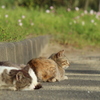見つめる先に視えること