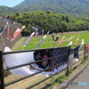 目刺しみたいな鯉のぼり