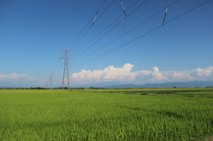 新潟の夏2014
