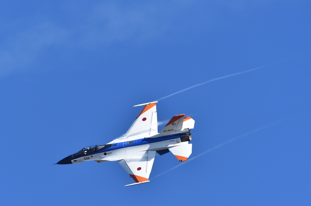 平成30年 岐阜基地航空祭 F2 05