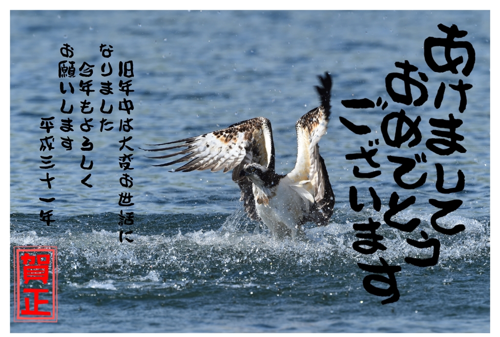 今年もよろしくお願いします。01