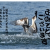 今年もよろしくお願いします。01