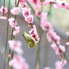 溜め