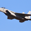 F15