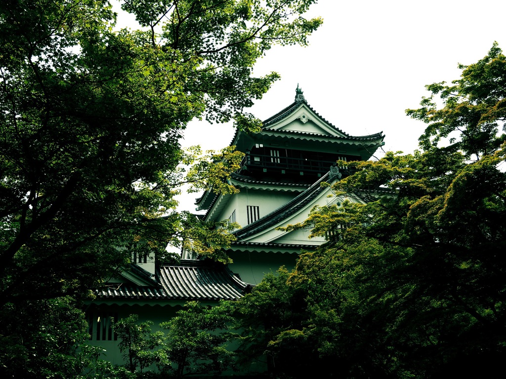 岡崎城　千歳緑