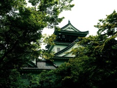 岡崎城　千歳緑