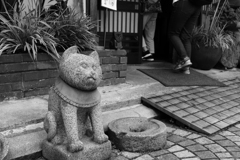 猫の石像