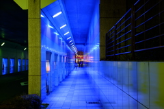 Blue